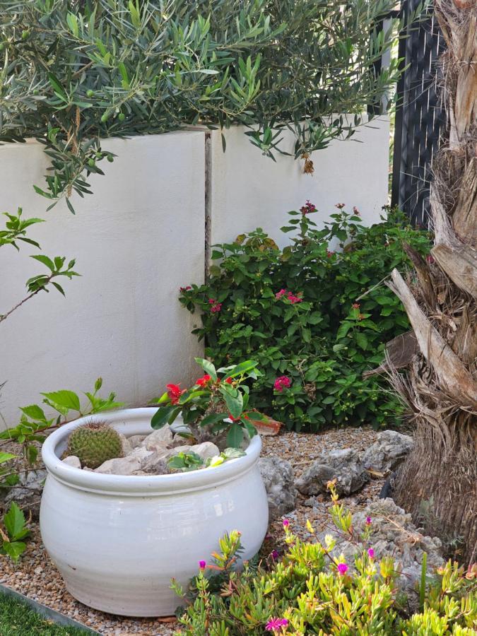 Casa Veran At La Finca Golf Algorfa Εξωτερικό φωτογραφία